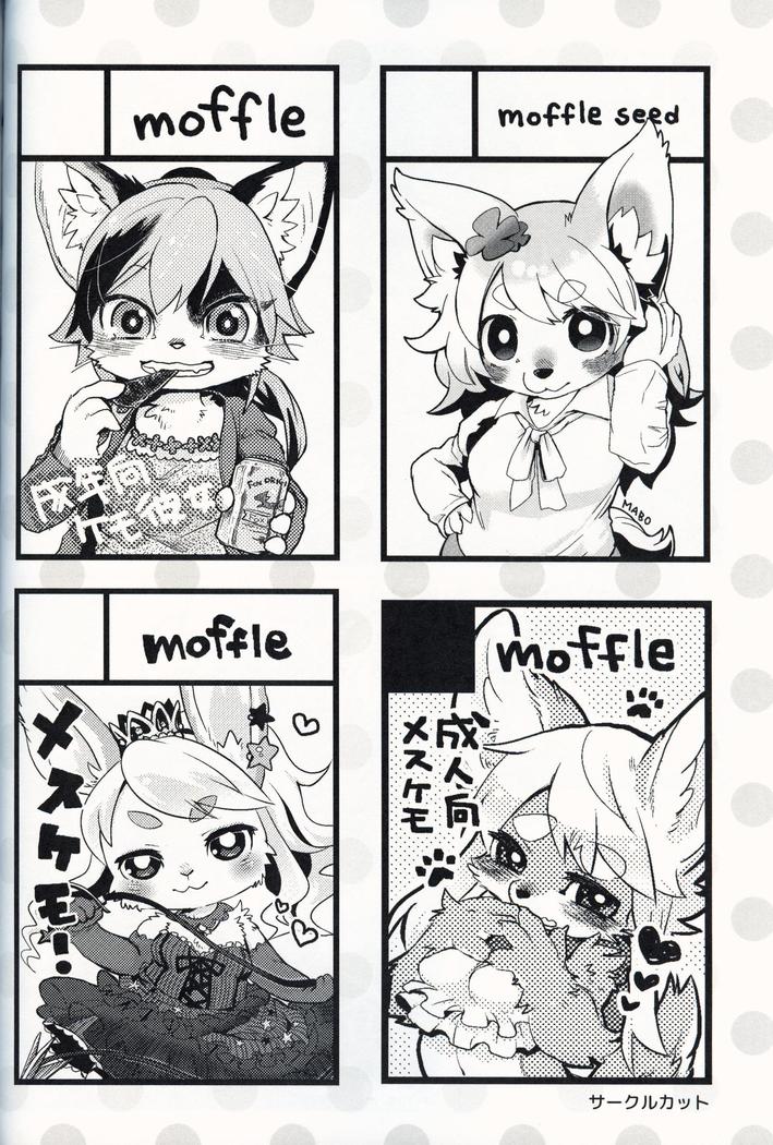 mof mo full!
