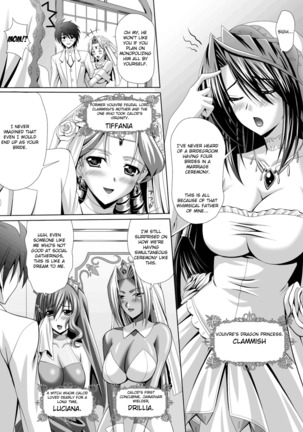 Harem Wedding The Sweet Honeymoon Ch. 1-6 Page #13