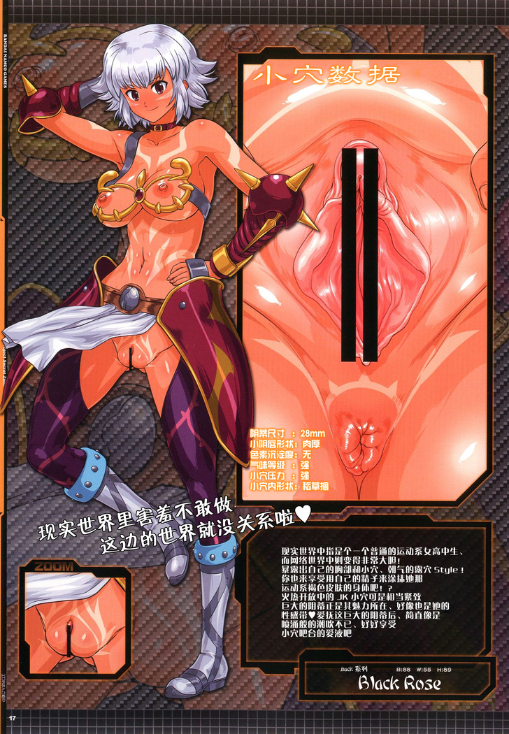 PROJECT SECRET ZONE 2
