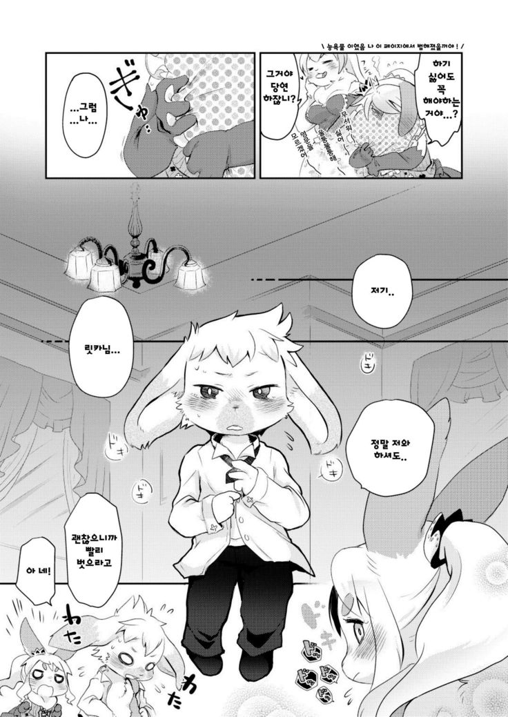 Rabbit Love it!