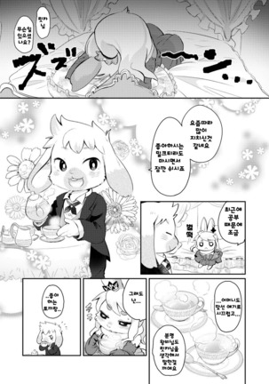 Image 5948046