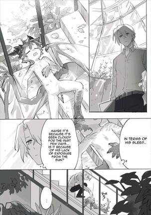 Image 13741433