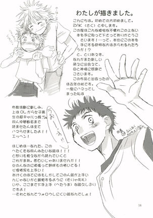 Aidikara Love Force 1 - Page 15