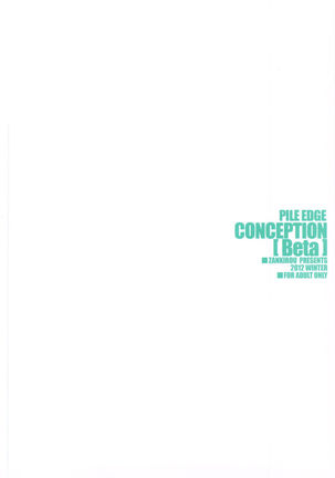 PILEDGE CONCEPTION Page #31