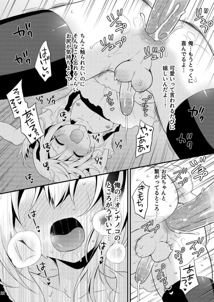 Kawaii Otouto wa Onii-chan no Tame ni Imouto ni Narubeki! Sono 2