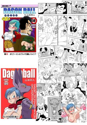 Dagon Ball - Pilaf Jou no Kiken na Wana! Page #24