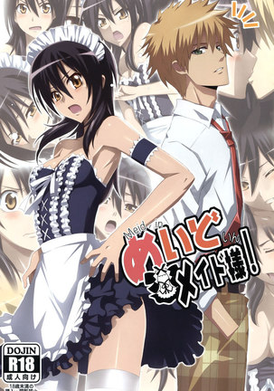 Meid in Maid-sama! Page #1