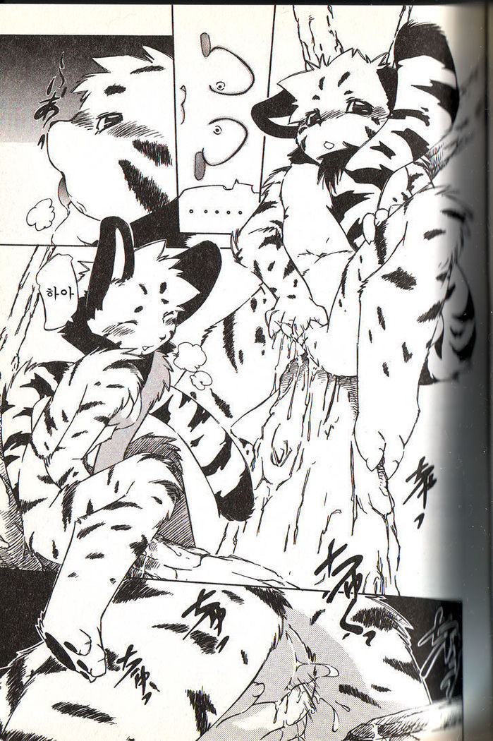 Ganbari Mahougumi Dendoganguten