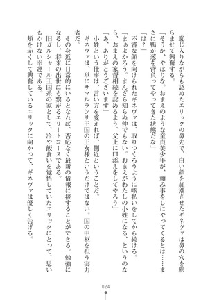 ハーレムマスカレード Page #24