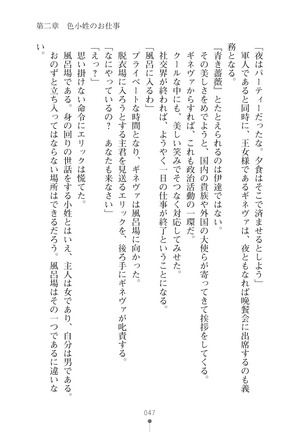 ハーレムマスカレード - Page 47