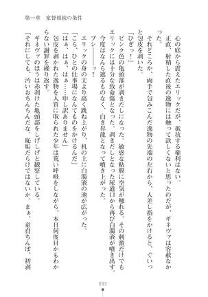 ハーレムマスカレード Page #33
