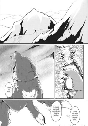 Image 13776674