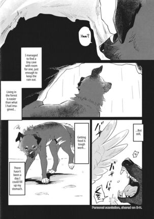 Image 13776681
