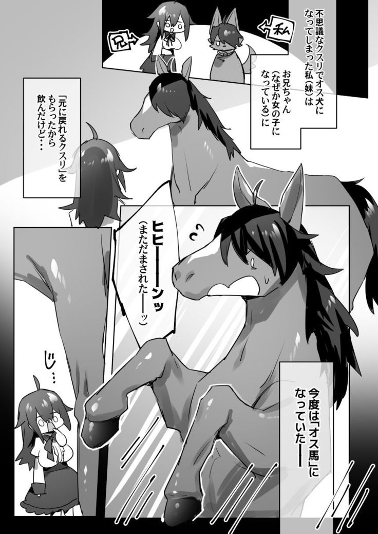 オス馬になった妹と女体化した兄がなんかする漫画