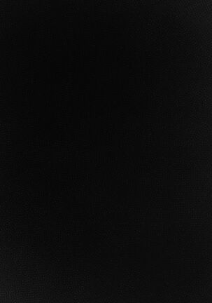 Image 13190451