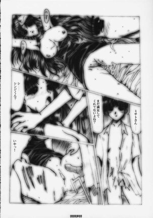 [Neko to Hato (Hatoya Mameshichi)] Désir - Yokubou no Hate - Kaiteiban (Neon Genesis Evangelion) - Page 25