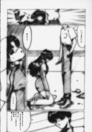 [Neko to Hato (Hatoya Mameshichi)] Désir - Yokubou no Hate - Kaiteiban (Neon Genesis Evangelion) - Page 11