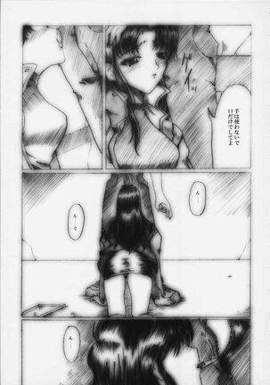 [Neko to Hato (Hatoya Mameshichi)] Désir - Yokubou no Hate - Kaiteiban (Neon Genesis Evangelion) - Page 12