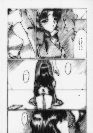 [Neko to Hato (Hatoya Mameshichi)] Désir - Yokubou no Hate - Kaiteiban (Neon Genesis Evangelion) Page #12