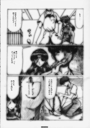 [Neko to Hato (Hatoya Mameshichi)] Désir - Yokubou no Hate - Kaiteiban (Neon Genesis Evangelion) - Page 9