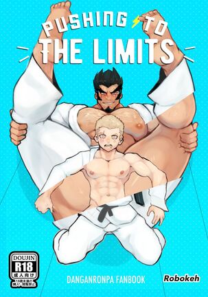 Pushing to the limits Page #1