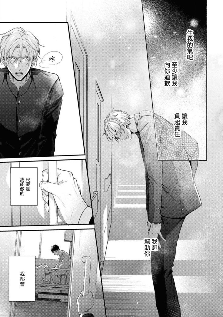 Light of my life | 生命之光 02-04