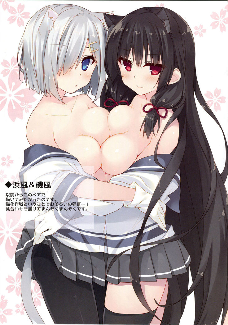 Isokaze Nekoka Sakusen