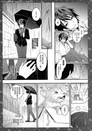 Nyancology 5 -Usami-san to Himitsu no Misshitsu- Page #23