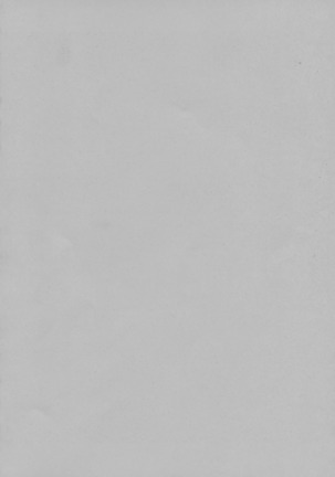 Image 3501223