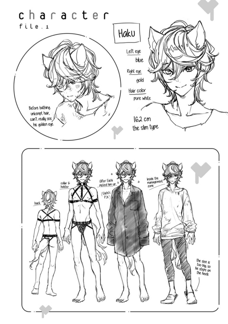 Kemono wa Okumade Aisaretai