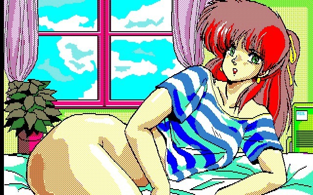 Aniparo Menyou CG Data Shuu Disk Noah v2v3