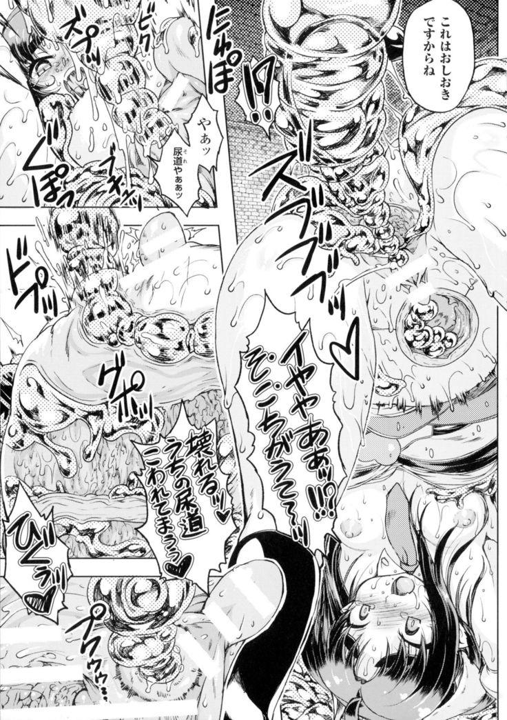 Seigi no Heroine Kangoku File DX Vol. 2