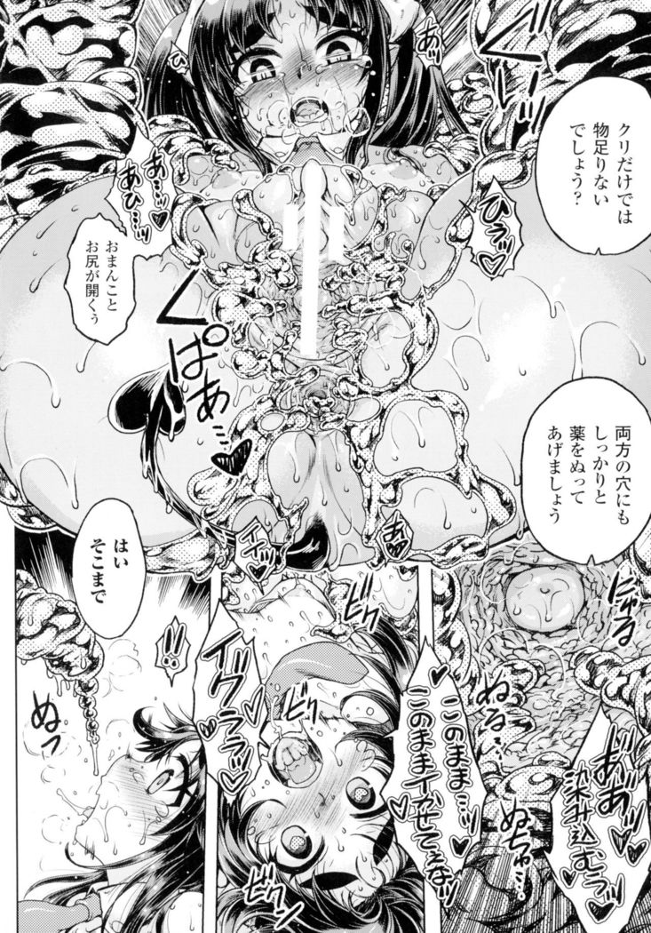 Seigi no Heroine Kangoku File DX Vol. 2