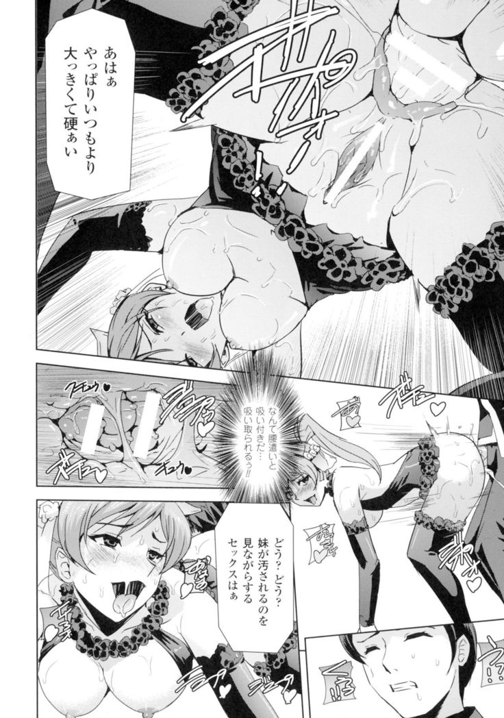 Seigi no Heroine Kangoku File DX Vol. 2