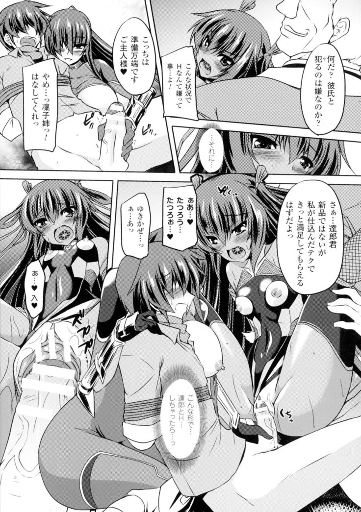 Seigi no Heroine Kangoku File DX Vol. 2