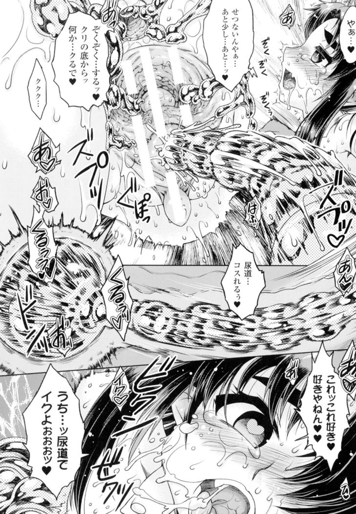 Seigi no Heroine Kangoku File DX Vol. 2