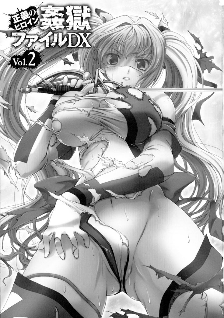 Seigi no Heroine Kangoku File DX Vol. 2