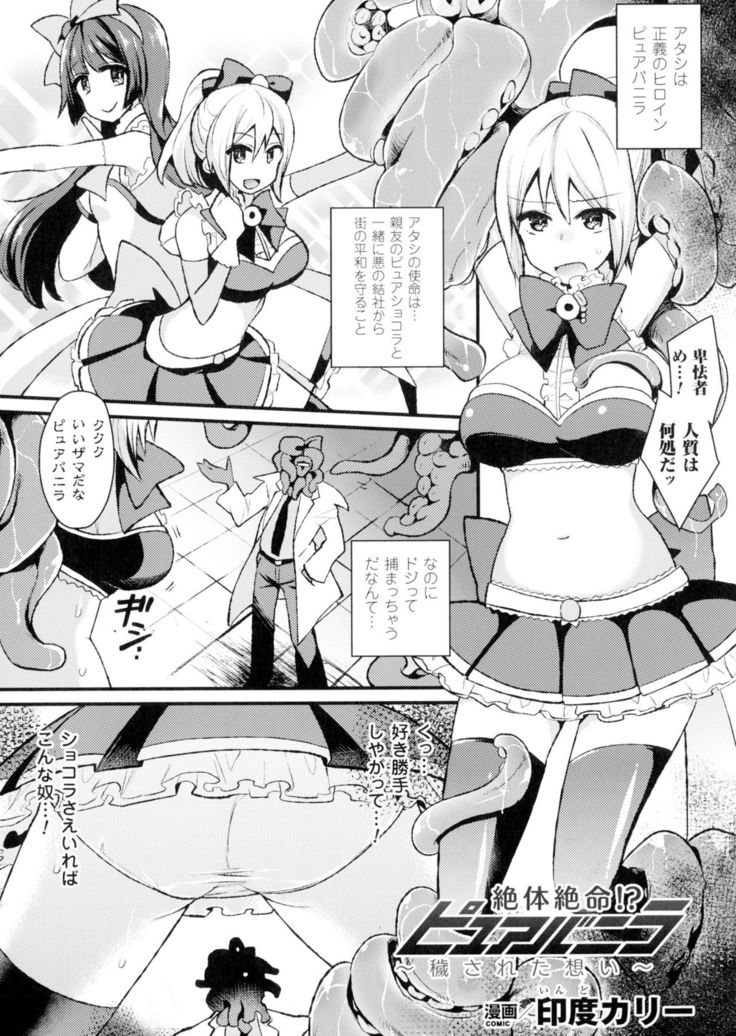 Seigi no Heroine Kangoku File DX Vol. 2