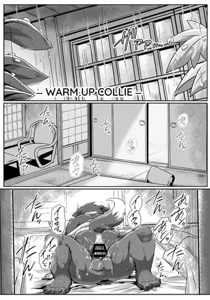 Image 14329029