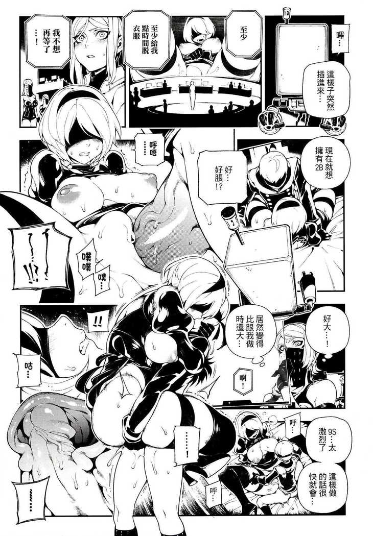 NieR  2BR18