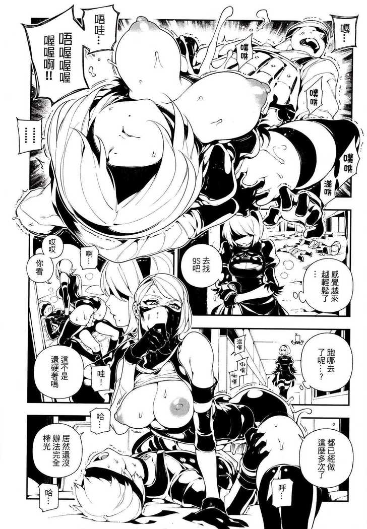 NieR  2BR18