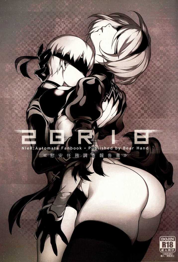 NieR  2BR18