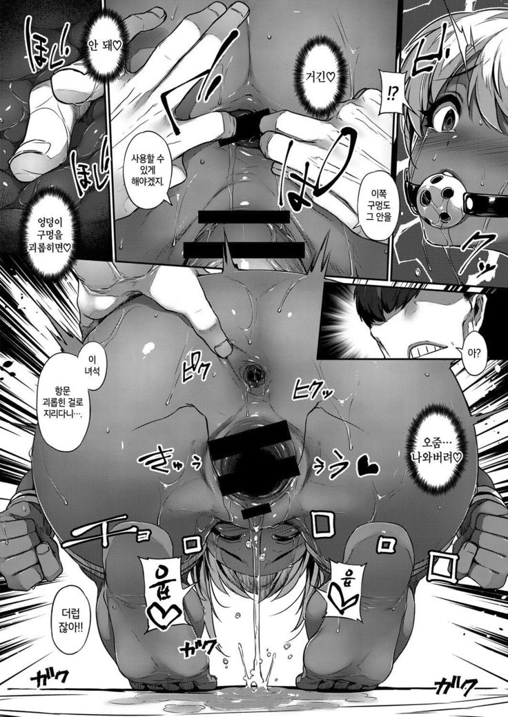 Zoku Hina Asobi