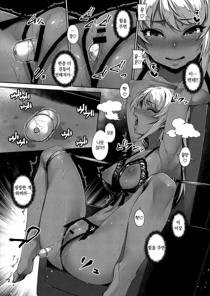 Zoku Hina Asobi
