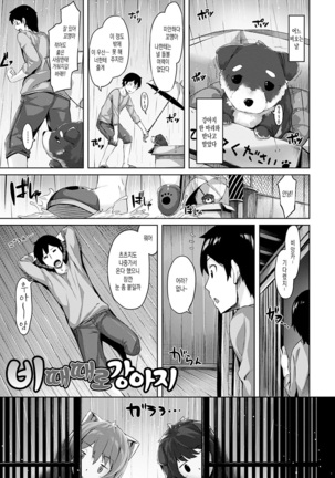 Suki na Hito ga Dekita! - I've got someone special! Page #208