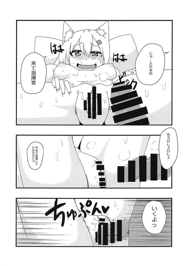 Shikikan!! Neko wa Suki kanya?