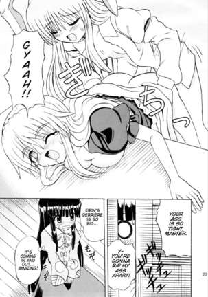 Touhou Youjo Ranbu 6 - Page 20