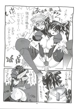KAISHAKU 2010 Page #43