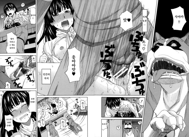 Moteru Inu no Ikizama