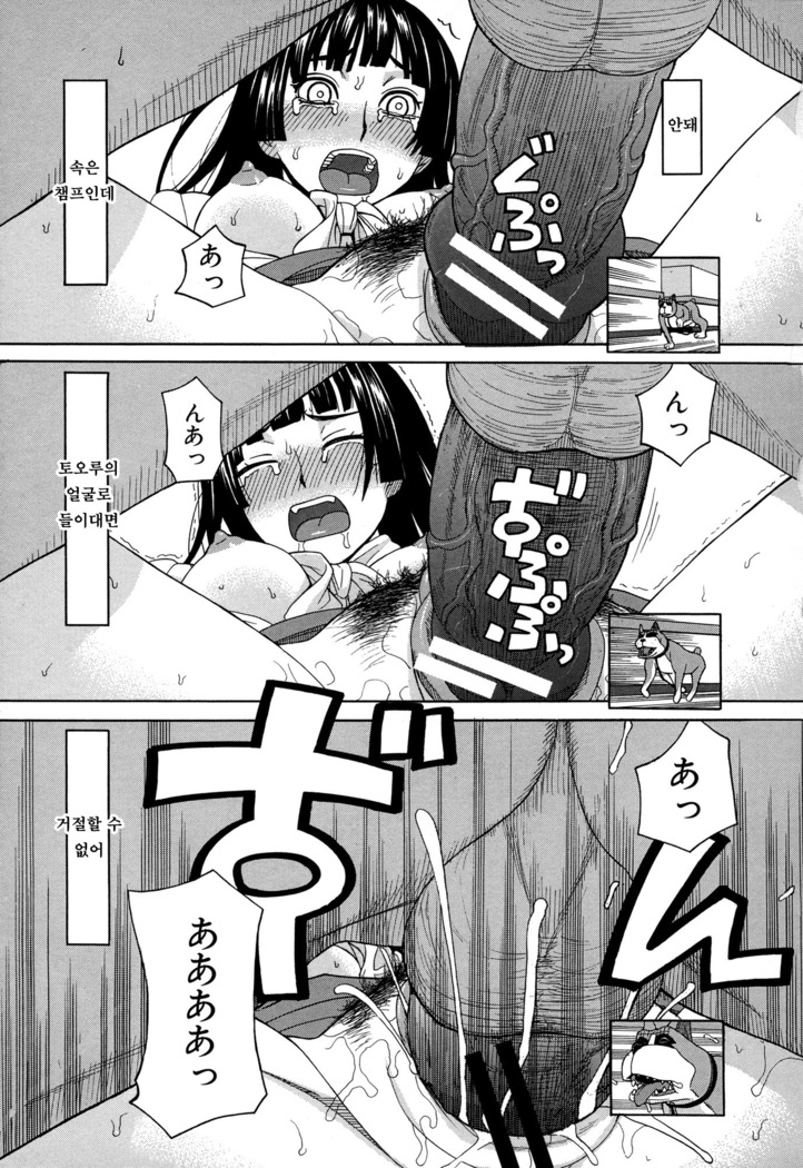 Moteru Inu no Ikizama